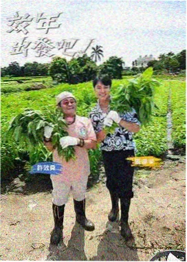 综艺节目免费观看 - 乘风破浪